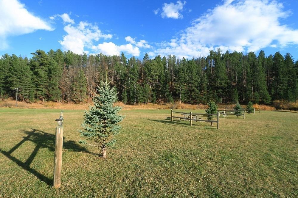 Black Elk Resort Hill City Δωμάτιο φωτογραφία